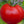 Vegetable Seeds,Garden seeds, Seeds For Planting,Plant Seeds