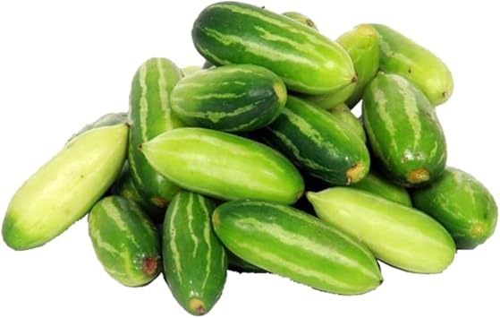 Ivy Gourd Seeds for Planting – Organic Climbing Vegetable Vine for Home Garden & Backyard Farming