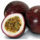 Fruit Seeds,Garden seeds, Seeds For Planting,Plant Seeds