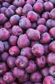 Fruit Seeds,Garden seeds, Seeds For Planting,Plant Seeds