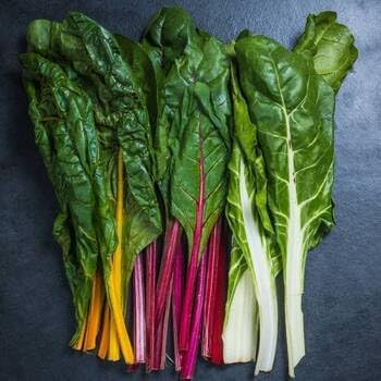 Vegetable Seeds,Garden seeds, Seeds For Planting,Plant Seeds