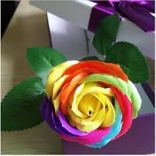 Flower Seeds, Seeds,Seeds For Planting,Plant Seeds