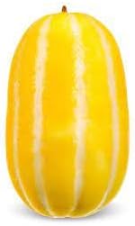 Vegetable Seeds,Garden seeds, Seeds For Planting,Plant Seeds