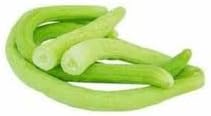 Vegetable Seeds,Garden seeds, Seeds For Planting,Plant Seeds