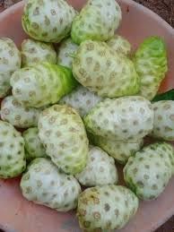 Fruit Seeds,Garden seeds, Seeds For Planting,Plant Seeds