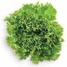 Vegetable Seeds,Garden seeds, Seeds For Planting,Plant Seeds