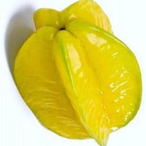 Fruit Seeds,Garden seeds, Seeds For Planting,Plant Seeds