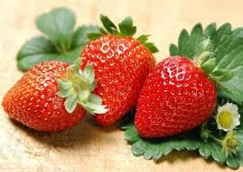 Fruit Seeds,Garden seeds, Seeds For Planting,Plant Seeds