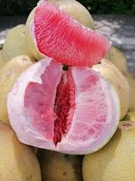 Fruit Seeds,Garden seeds, Seeds For Planting,Plant Seeds