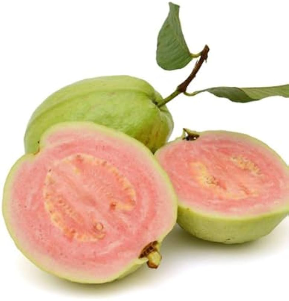 Fruit Seeds,Garden seeds, Seeds For Planting,Plant Seeds