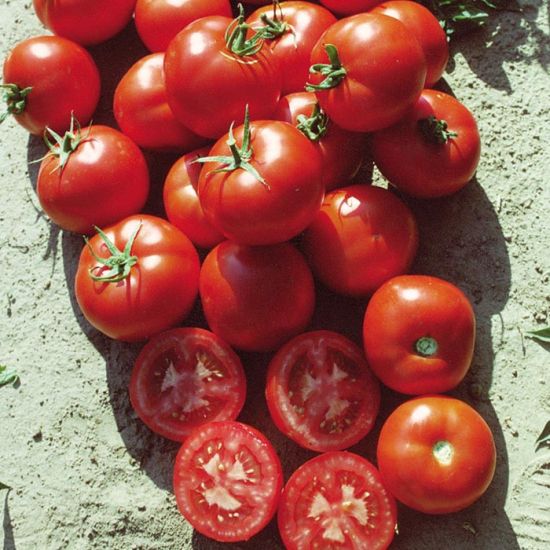 Red Black Tomato Vegetable Seeds for Planting – Heirloom, Non-GMO Seeds