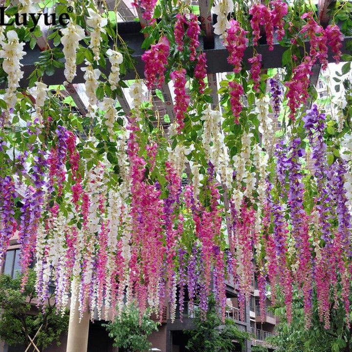 Mixed Wisteria Flower Seeds for Planting – Heirloom, Non-GMO, Perfect for Borders & Home Garden
