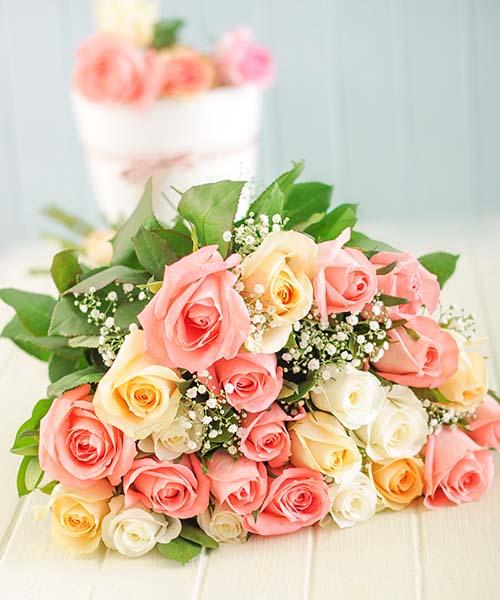 Germany Rose Flower Seeds for Planting Mixed Colors – Seasonal Bloomer, Heirloom, Non-GMO, High Germination Organic Garden Seeds