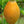 Yellow Tamarillo fruit seeds for planting - Heirloom & Non-GMO Garden seeds, exotic fruits from hardy trees