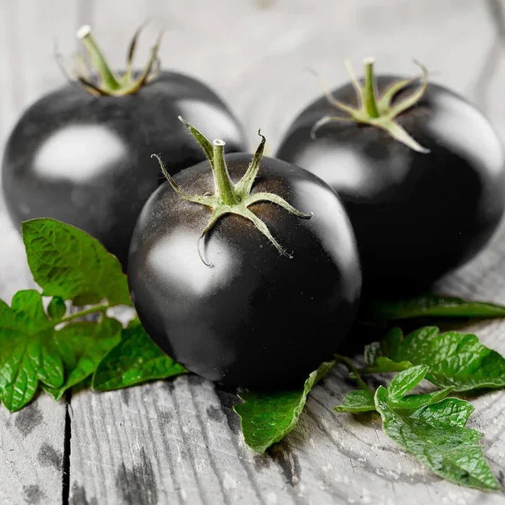 Black Cherry Tomato Seeds for Planting – Heirloom, Non-GMO, Sweet Vegetable Garden Seeds – High Germination