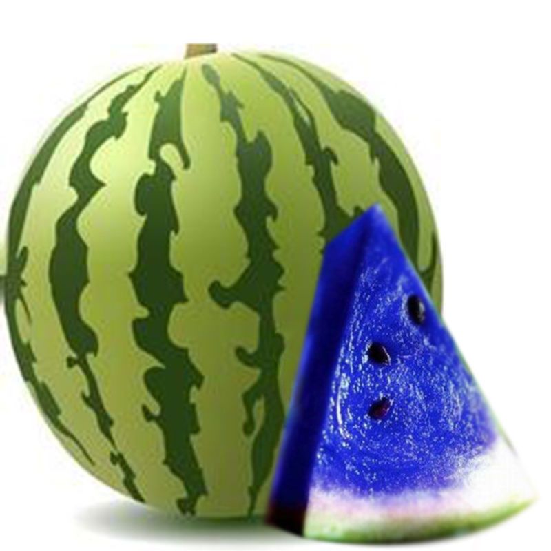 Blue Watermelon Fruit seeds – Heirloom, Non-GMO Seeds for Planting Unique Garden Delights
