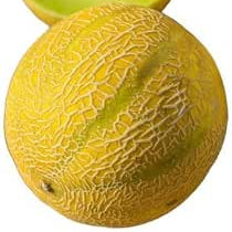 Lemon Drop Melon fruit seeds for planting - Heirloom & Non-GMO garden seeds, sweet summer variety