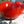 Vegetable Seeds,Garden seeds, Seeds For Planting,Plant Seeds