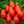 Big Tomato Vegetable Seeds for Planting – Heirloom Non-GMO, High Germination Organic Garden Seeds for Canning & Slicing