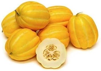 Vegetable Seeds,Garden seeds, Seeds For Planting,Plant Seeds