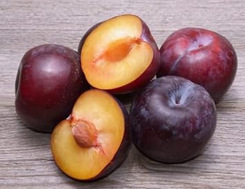 Fruit Seeds,Garden seeds, Seeds For Planting,Plant Seeds