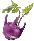 Kohlrabi Purple Vienna Seeds for Planting – Heirloom, Non-GMO, Fast-Growing Cool-Season Vegetable