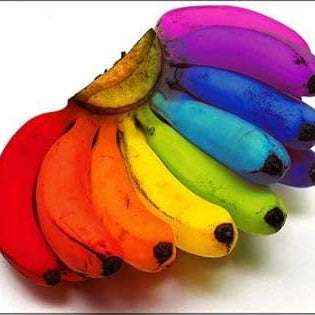 Fruit Seeds,Garden seeds, Seeds For Planting,Plant Seeds