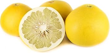 Fruit Seeds,Garden seeds, Seeds For Planting,Plant Seeds