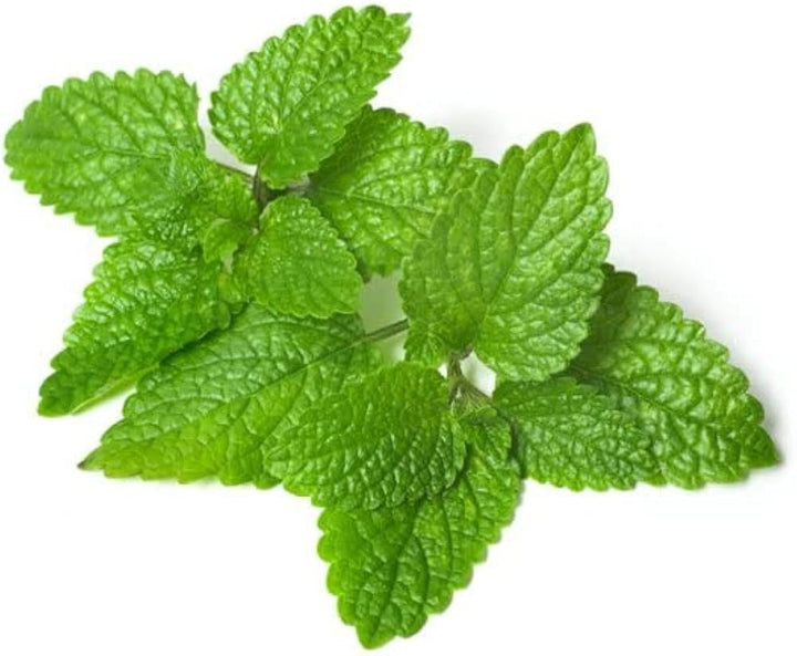 Fruit Seeds,Garden seeds, Seeds For Planting,Plant Seeds