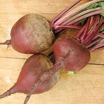 Vegetable Seeds,Garden seeds, Seeds For Planting,Plant Seeds