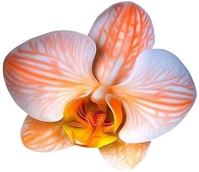 Flower Seeds, Seeds,Seeds For Planting,Plant Seeds