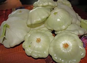 Fruit Seeds,Garden seeds, Seeds For Planting,Plant Seeds