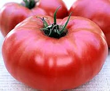 Vegetable Seeds,Garden seeds, Seeds For Planting,Plant Seeds
