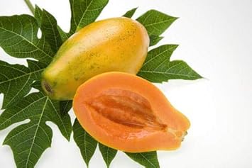 Fruit Seeds,Garden seeds, Seeds For Planting,Plant Seeds