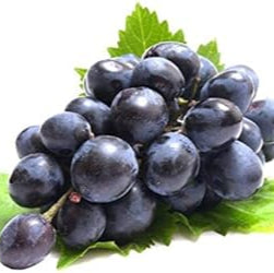 Fruit Seeds,Garden seeds, Seeds For Planting,Plant Seeds