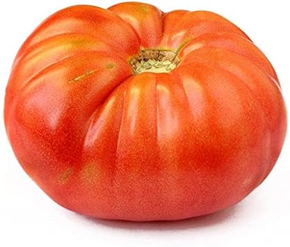 Vegetable Seeds,Garden seeds, Seeds For Planting,Plant Seeds