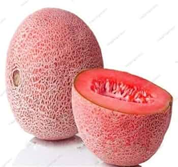Fresh Pink Cantaloupe melon fruit seeds for planting - Heirloom & Non-GMO Garden seeds, juicy flavorful variety
