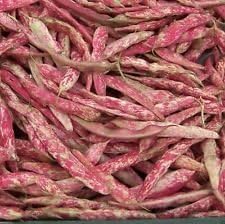 Vegetable Seeds,Garden seeds, Seeds For Planting,Plant Seeds