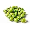 Arbequina Olive Seeds for Planting – Heirloom, Non-GMO, High-Yield Dwarf Olive Tree for Home Garden & Containers