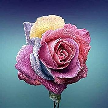 Flower Seeds, Seeds,Seeds For Planting,Plant Seeds