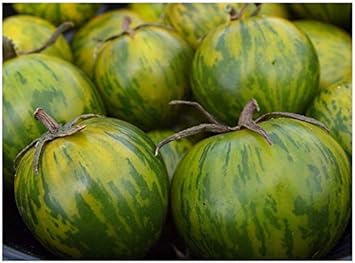 Vegetable Seeds,Garden seeds, Seeds For Planting,Plant Seeds