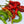 Vegetable Seeds,Garden seeds, Seeds For Planting,Plant Seeds