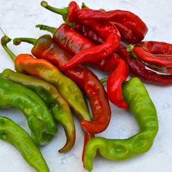 Vegetable Seeds,Garden seeds, Seeds For Planting,Plant Seeds