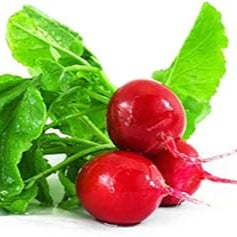 Fruit Seeds,Garden seeds, Seeds For Planting,Plant Seeds