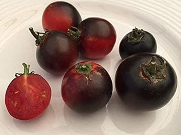 Vegetable Seeds,Garden seeds, Seeds For Planting,Plant Seeds