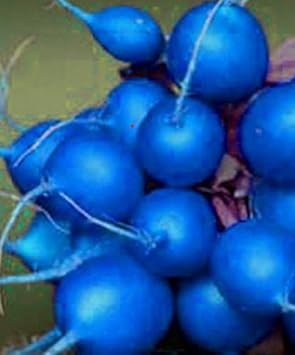 Vegetable Seeds,Garden seeds, Seeds For Planting,Plant Seeds