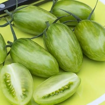 Vegetable Seeds,Garden seeds, Seeds For Planting,Plant Seeds