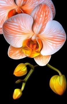 Flower Seeds, Seeds,Seeds For Planting,Plant Seeds