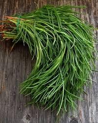 Herb Seeds,Garden seeds, Seeds For Planting,Plant Seeds