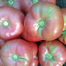 Vegetable Seeds,Garden seeds, Seeds For Planting,Plant Seeds